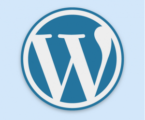 We can customize your wordpress site to meet your needs.